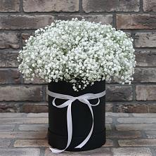 Цветочная композиция из Гипсофила в шляпной коробке в Ельники
